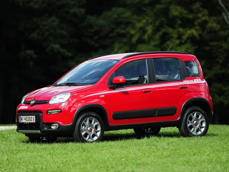  Fiat Panda 4x4 Steyr 2012 года  (фото 4 из 5)